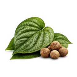 Betel Products from Sri Lanka by Lanka Trade