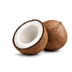 Bulk Coconut Products from Sri Lanka for global market