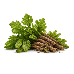 Bulk Herbal Products For Export from Sri Lanka