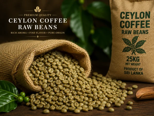 Ceylon Coffee Raw Beans