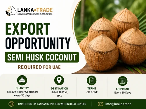 Semi Husk Coconut Wanted for UAE