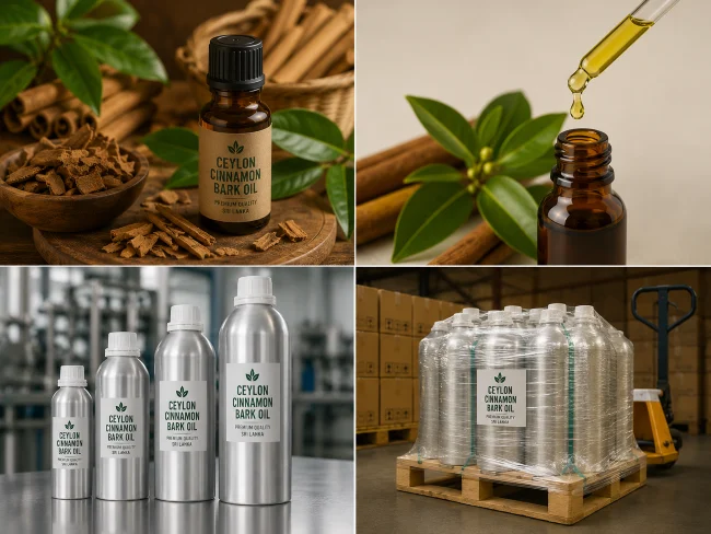 Export Ready Ceylon Cinnamon Bark Oil