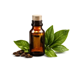 Sri Lankan Essential Oil for B2B Market from Lanka Trade