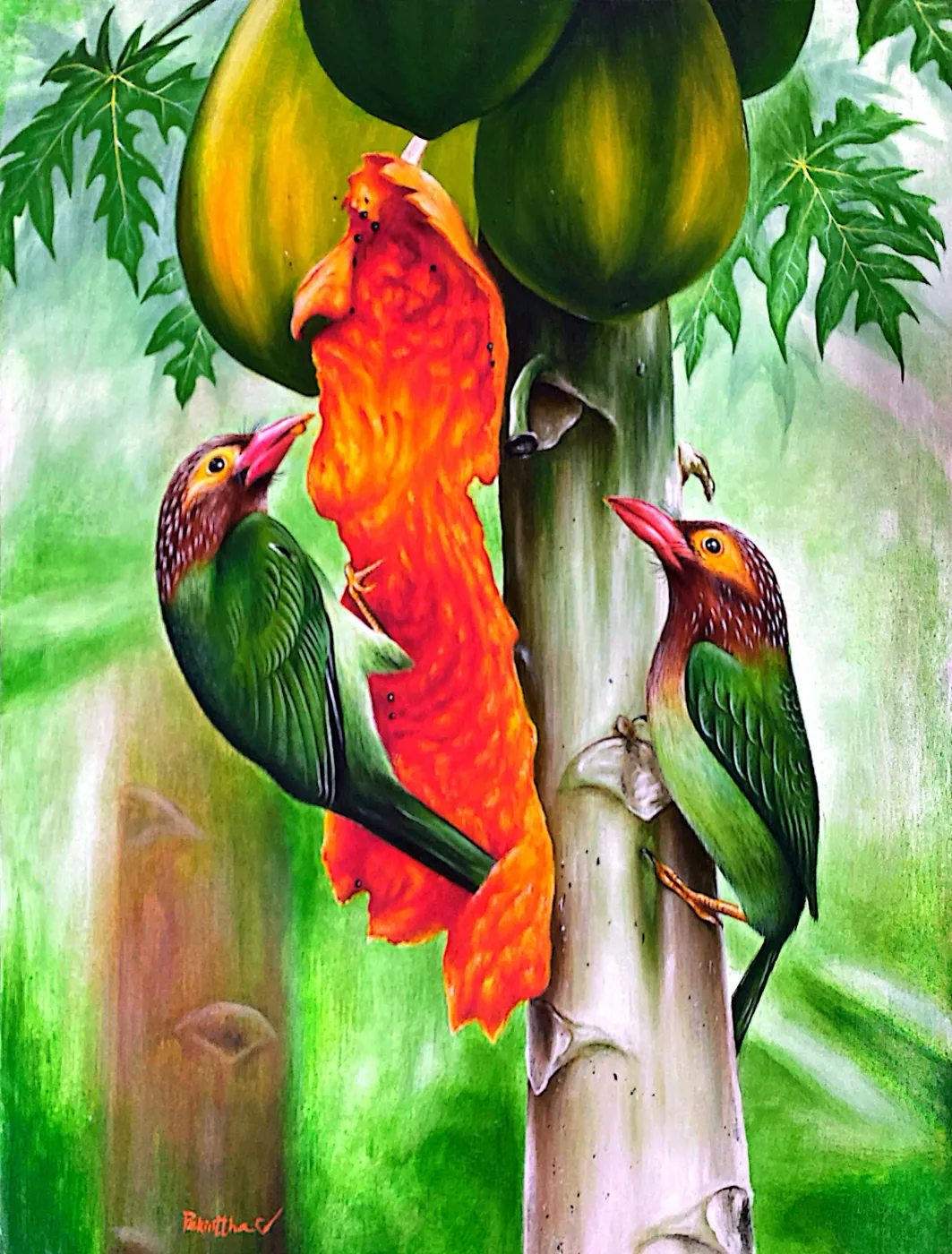 Hand painted Sri Lankan barbet birds on a papaya tree, original acrylic canvas artwork