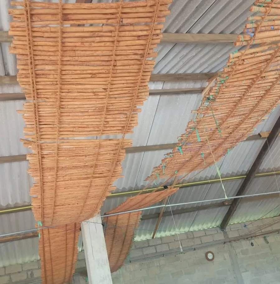 Ceylon cinnamon quills drying on racks at a processing centre in Karandeniya, Galle
