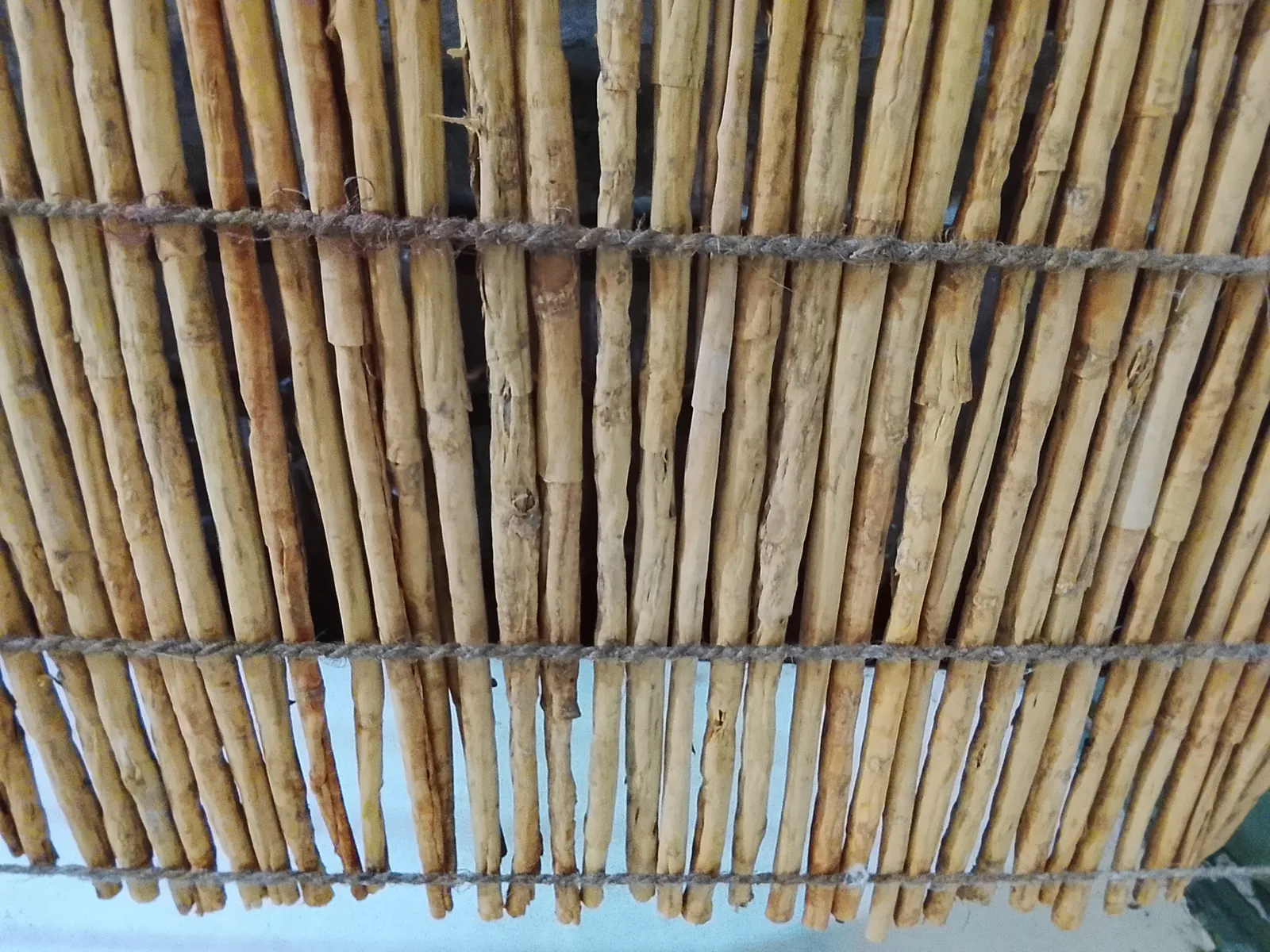 Ceylon cinnamon quills drying on racks in Karandeniya, Galle, Sri Lanka