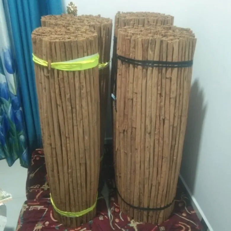 Wholesale bundles of Ceylon cinnamon quills tied for export from Galle, Sri Lanka