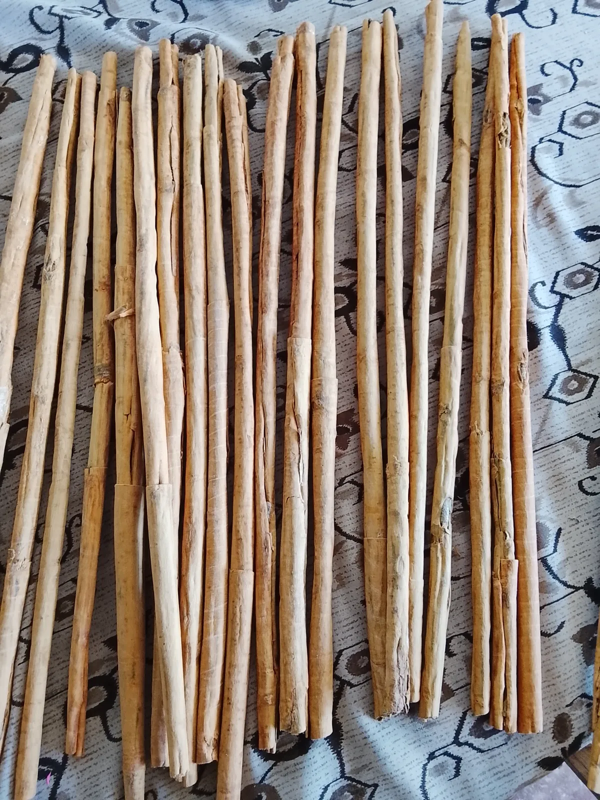 Full length hand rolled Ceylon cinnamon quills laid out for grading and export