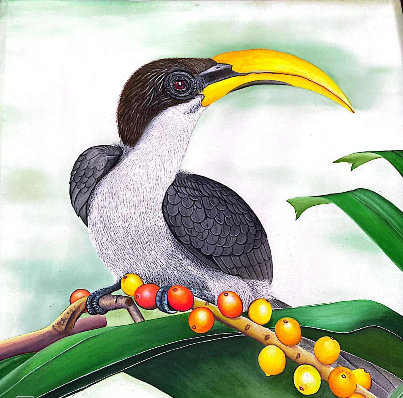 Hand painted hornbill bird on a palm branch with fruit, original Sri Lankan wildlife painting
